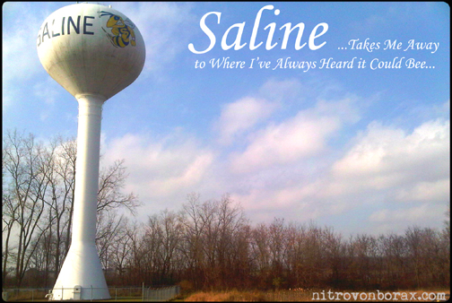 saline watertower