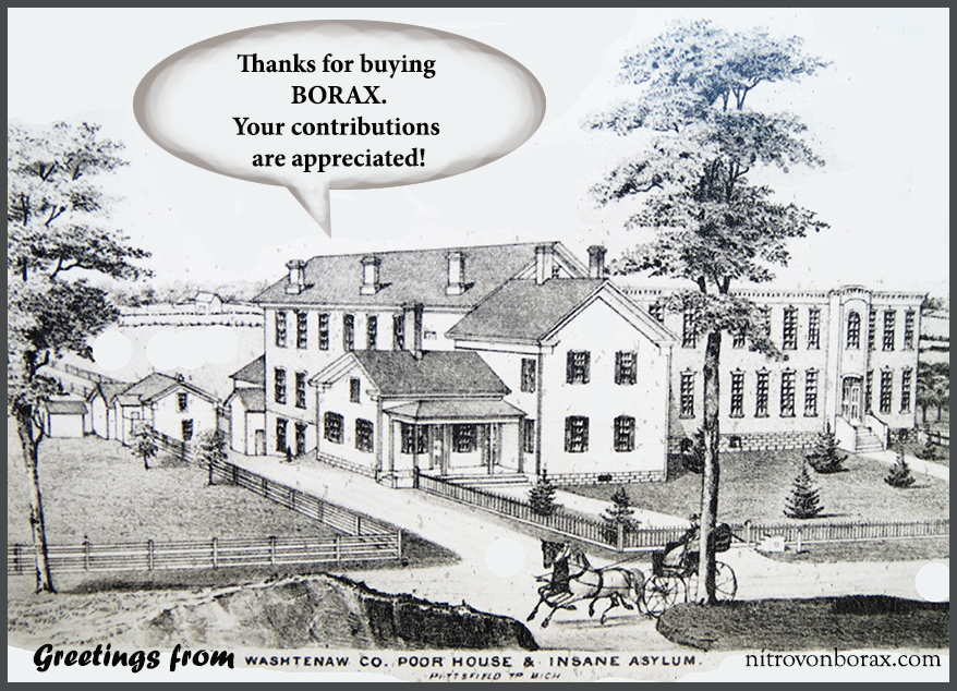 washtenaw county poor house and insane asylum