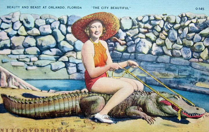 beauty-and-the-beast