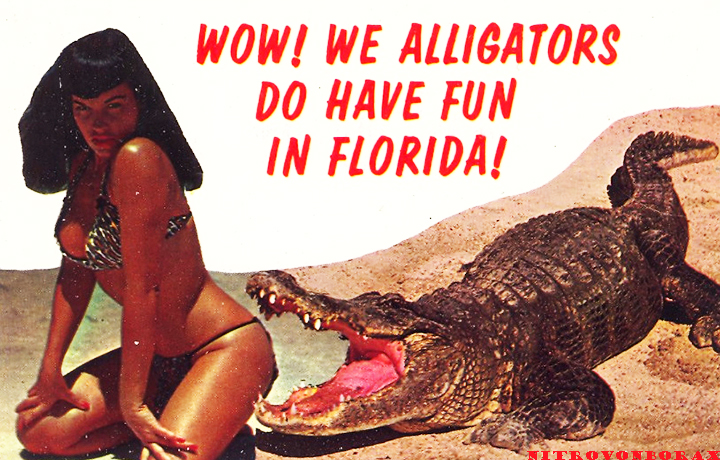 wow-we-alligators-do-have-fun-in-florida