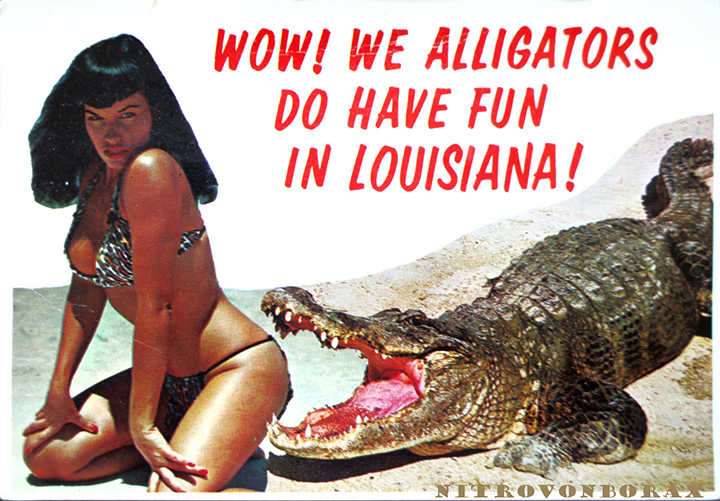 wow-we-alligators-do-have-fun-in-louisiana