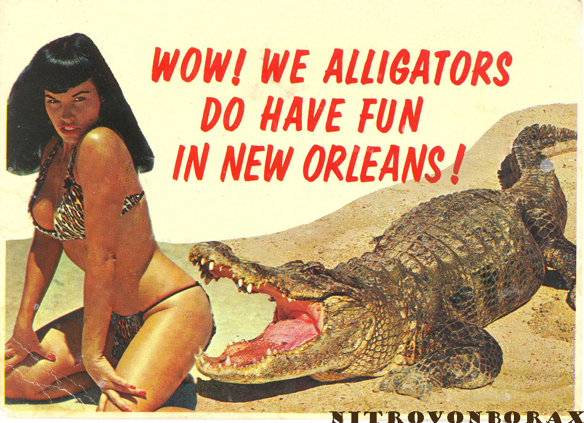 wow-we-alligators-do-have-fun-in-new-orleans